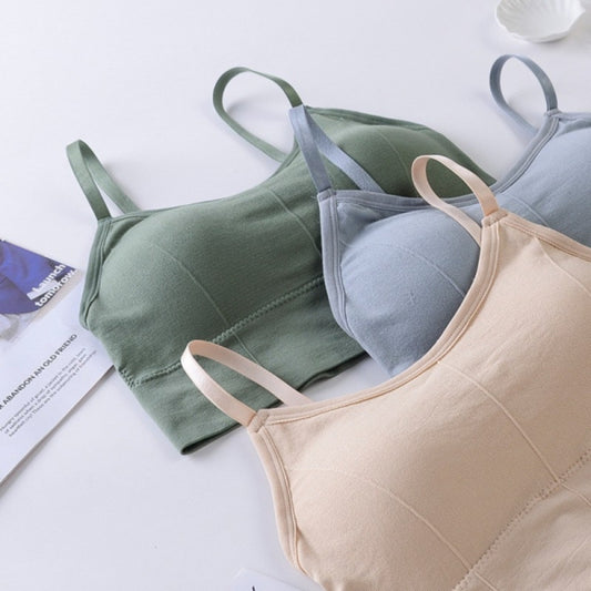 Women & Girls Premium Quality Full Coverage Lightly Padded Bra,Honeymoon Bra , Comfortable Bra Combo Of 3 Pcs
