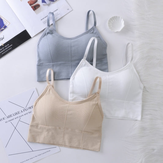 Women & Girls Premium Quality Full Coverage Lightly Padded Bra,Honeymoon Bra , Comfortable Bra Combo Of 3 Pcs