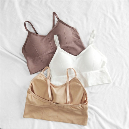Women & Girls Premium Quality Full Coverage Lightly Padded Bra,Honeymoon Bra , Comfortable Bra Combo Of 3 Pcs