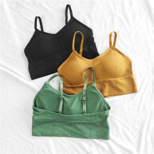 Women & Girls Premium Quality Full Coverage Lightly Padded Bra,Honeymoon Bra , Comfortable Bra Combo Of 3 Pcs